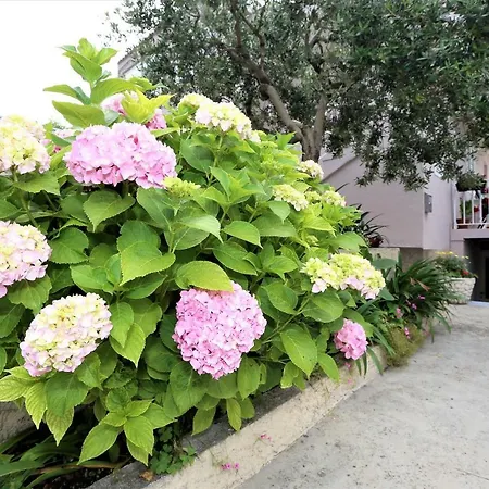 Vinko Башка-Вода