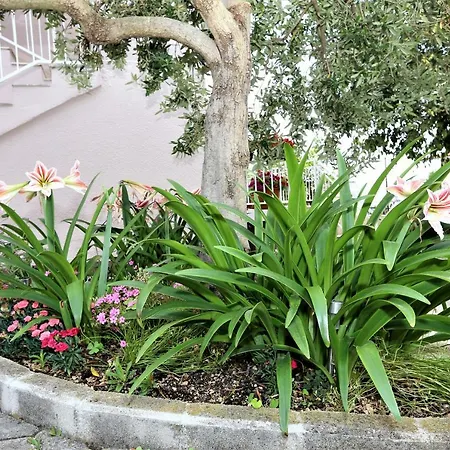 Vinko Lägenhet Baška Voda